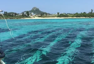 沖縄　伊江島のモズク養殖場