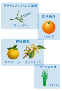 天然精油　5種類のアロマの香り