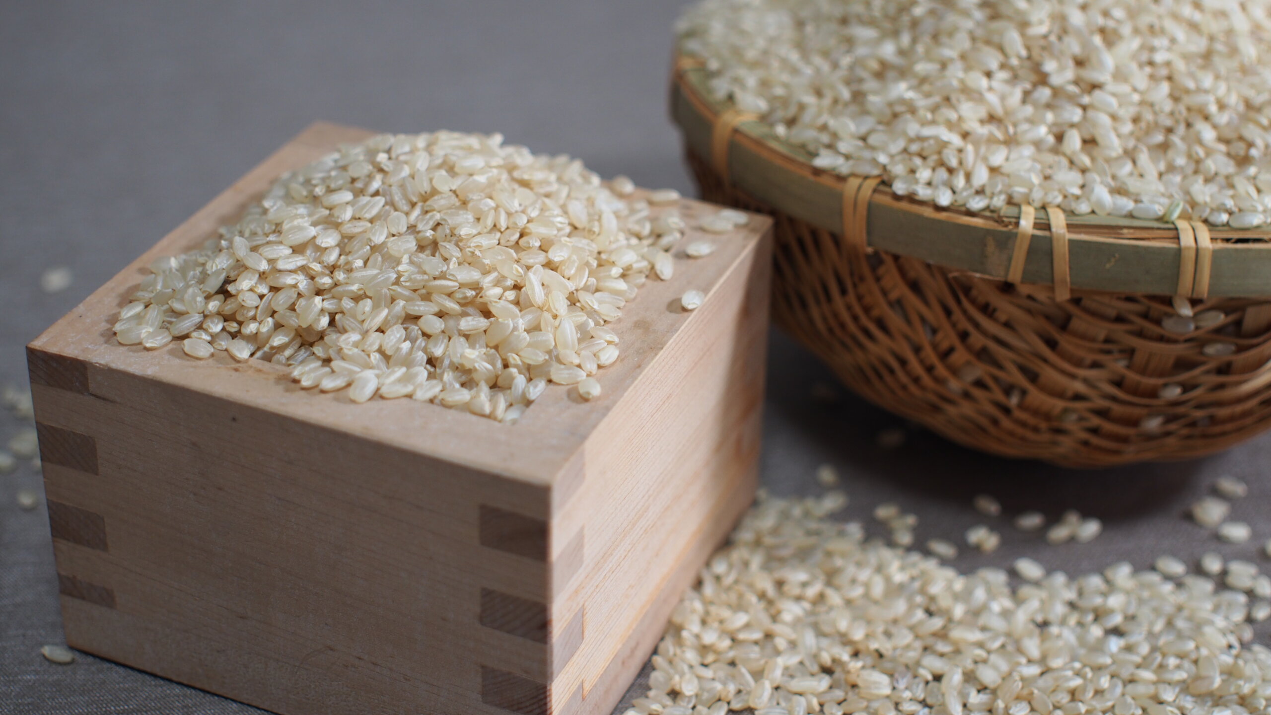 もてぎのコシヒカリ 【玄米】 10kg（5kg×2袋）（9031-0010） - 剣縁